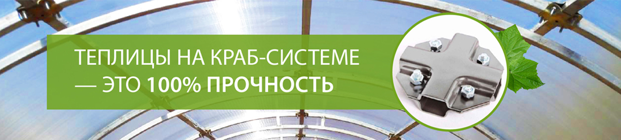 slide6